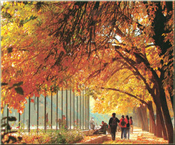 Beijing Language and Culture University Park