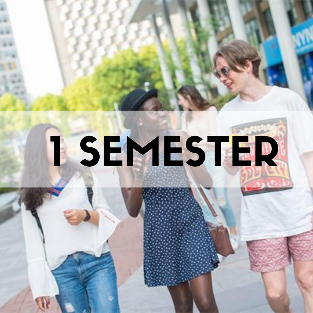 STUDYING IN CHINA FOR INTERNATIONAL STUDENTS visual data 7