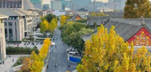 PEKING UNIVERSITY APPLICATION DEADLINE 2023 visual data 5