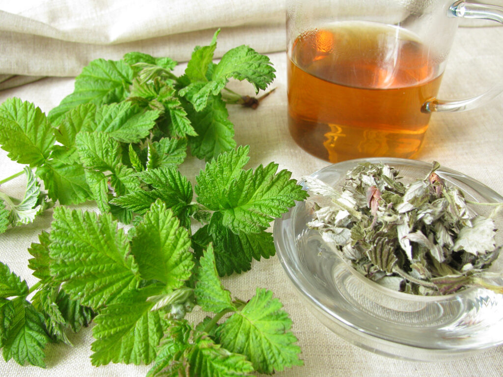 The 7 Best Traditional Chinese Medicine Teas to Make at Home • China ...