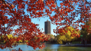 APPLICATION NOTICE INTERNATIONAL STUDENT OFFICE OF PEKING UNIVERSITY visual data 4