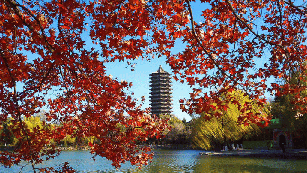 PEKING UNIVERSITY APPLICATION DEADLINE visual data 4