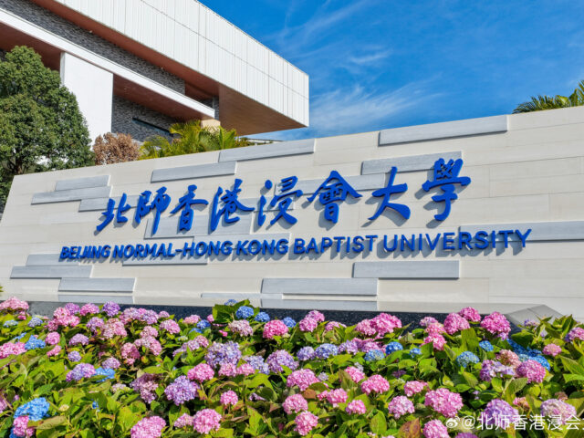 Top 5 Most Popular Majors for International Students at BNBU (And Why They Choose Them)